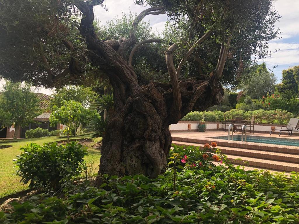 Authentic Andalucia Villa Marbella Eksteriør bilde